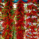 Image for article titled How Does The Scoville Scale Measure The Exact Hotness Of A Pepper?